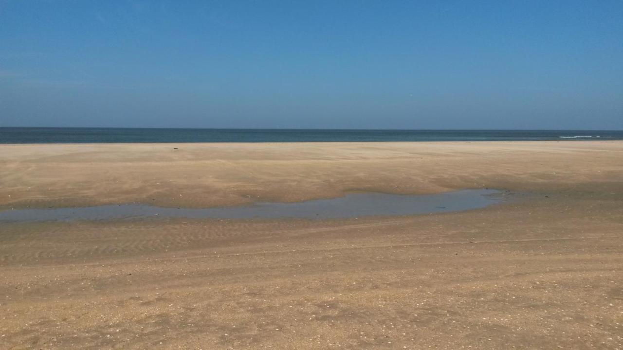 Vitamin Sea Heemskerk Exteriör bild