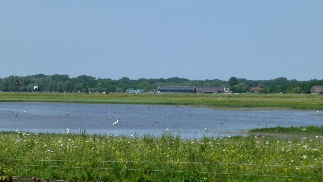 Vitamin Sea Heemskerk Exteriör bild